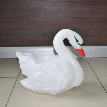 Саксия Лебед малък, S
