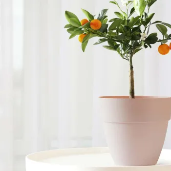 Саксия Gardena с дренаж Ø20cm