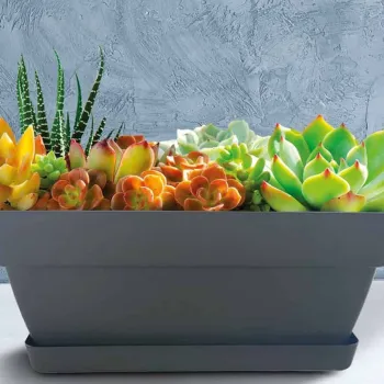 Сандъче Gardena с подложка 40cm