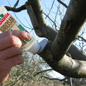 Замазка овощарска Bio Plantella Арбосан 100 гр.