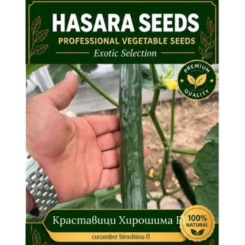 5 + 1  ХИРОШИМА  