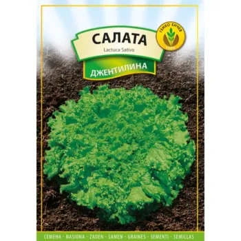 Салата Джентилина (Gentelina) - Х