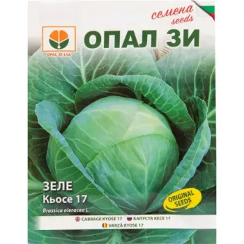 Зеле Кьосе (Kiose Opal zi) - Х