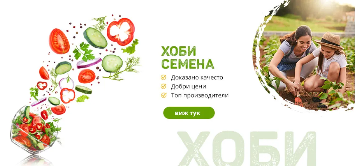 Хоби семена