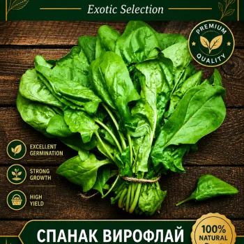 Спанак Вирофлай  (Viroflai) - M