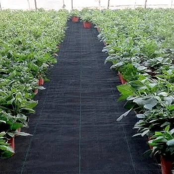 Тъкан против плевели 105 гр. 3,30 x 100 м.