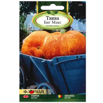 Тиква Биг Макс (Big Max) - X