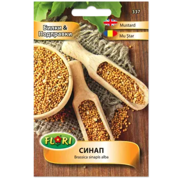 Синап (Sinap) - X