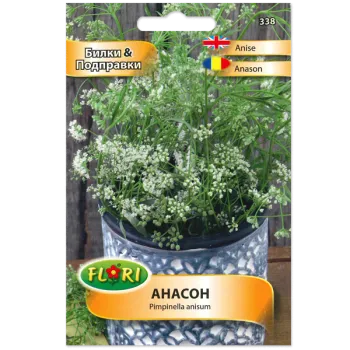 Анасон (Anason) - X