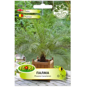 Палма