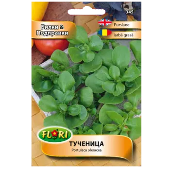 Тученица (Tuchenica) - X