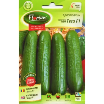 Краставици Теса F1 (TESA F1) - Х