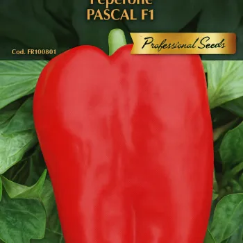 Пипер Паскал F1 (Pipper Pascal) - X
