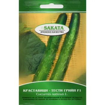 Краставици ТЕСТИ ГРИЙН F1 (TASTY GREEN F1) SAKATA  - Х