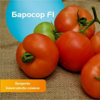 Домати БАРОСОР F1 (BAROSOR)