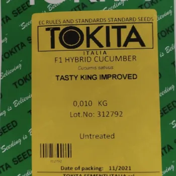 Краставици Тести Кинг Импруф F1 (Tasty king improved) 
