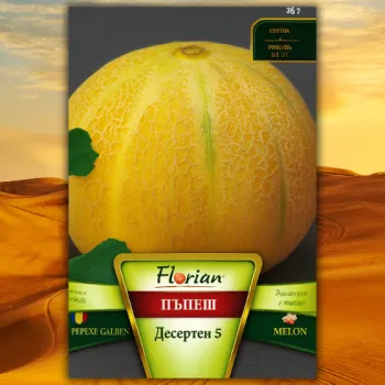 Пъпеши Десертен 5 (DESERTEN 5) - Х
