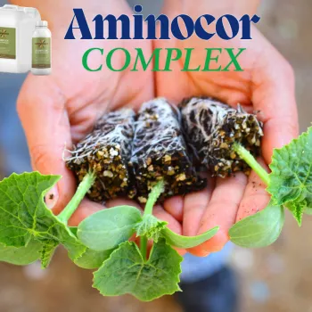 АМИНОКОР ПРИСАЖДАНЕ / AMINOCORE PRISAJDANE