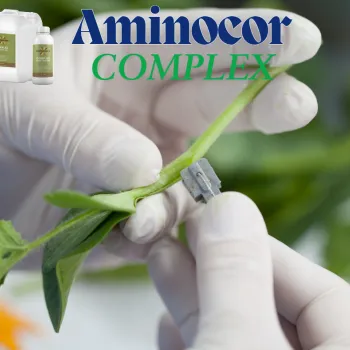 АМИНОКОР ПРИСАЖДАНЕ / AMINOCORE PRISAJDANE