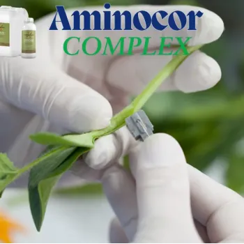 АМИНОКОР ПРИСАЖДАНЕ  (AMINOCORE PRISAJDANE) - M