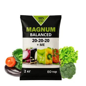 Магнум Баланс  Magnum Balanced 2kg.