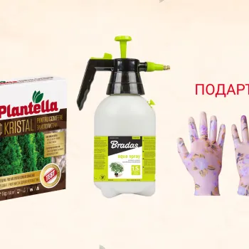Комплект: тор за иглолистни растения Plantella 1 кг, пулверизатор + подарък ръкавици